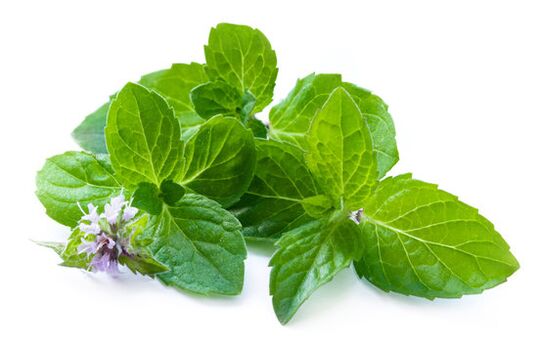 As follas de menta no valor spray zxcvbnmq