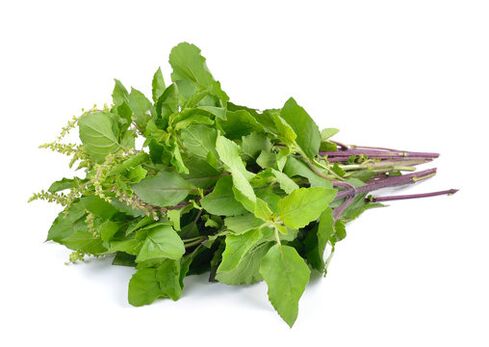 Follas de albahaca no valor de spray ZXCVBNMQ