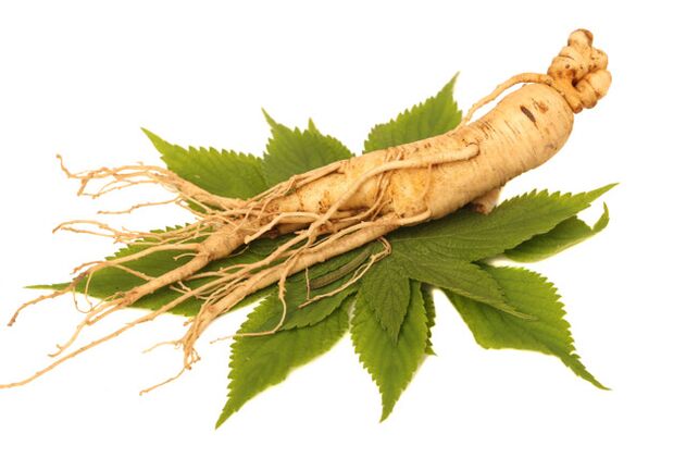 Raíz do ginseng no valor de spray zxcvbnmq